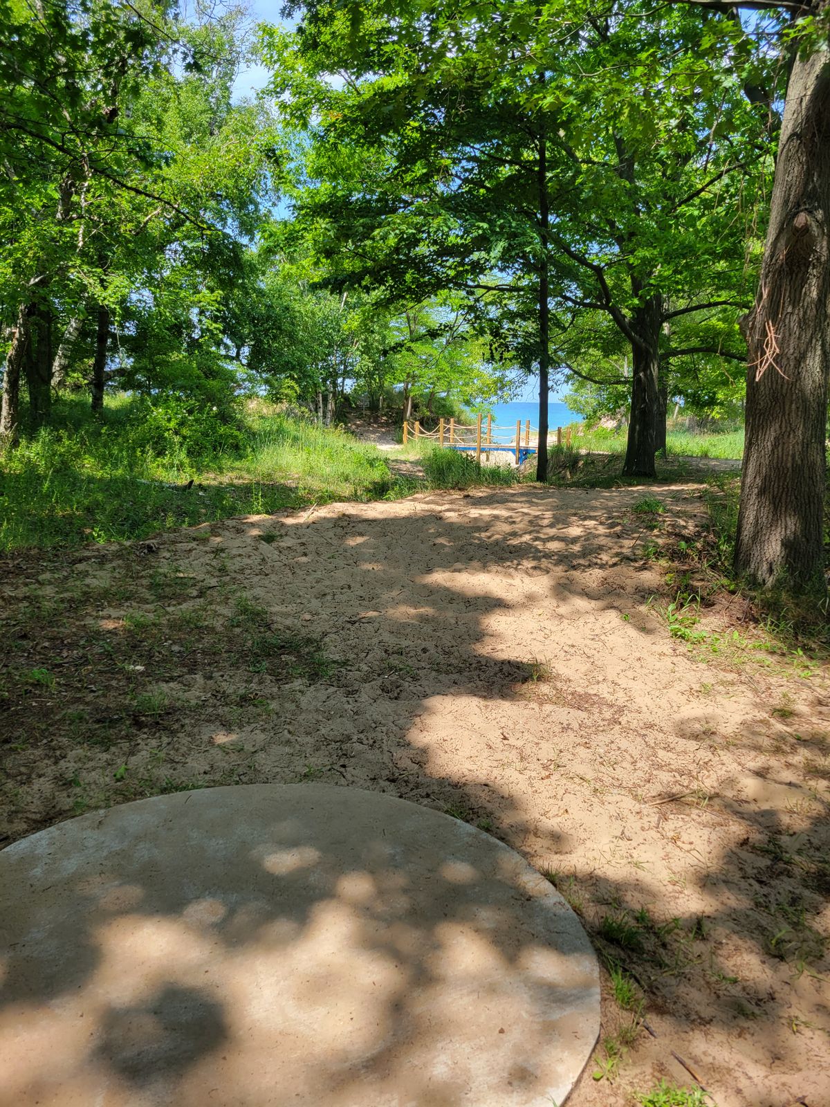 Some wooded, more technical holes