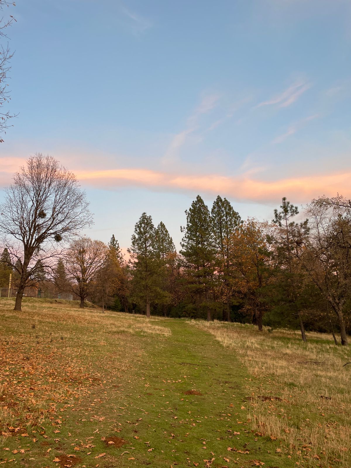 The fairway of hole 3