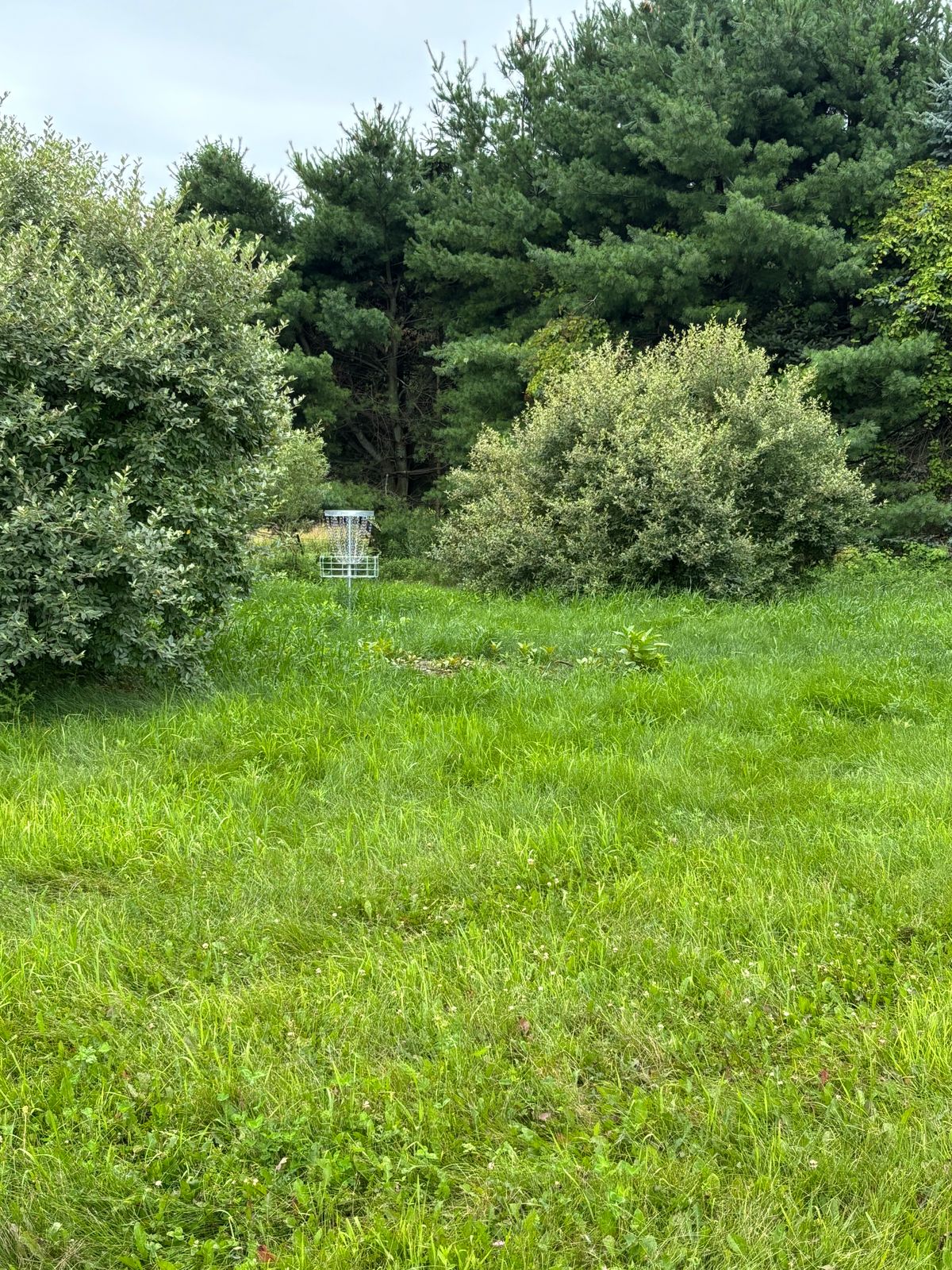Hole 4’s new pin location