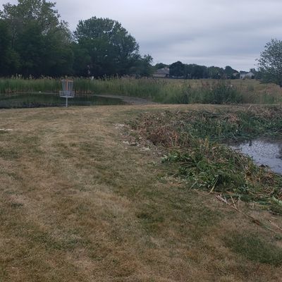 Hole 3 Basket