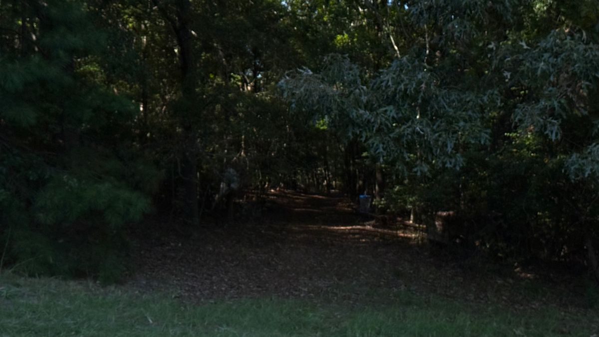 Hole 5: Approach and Basket