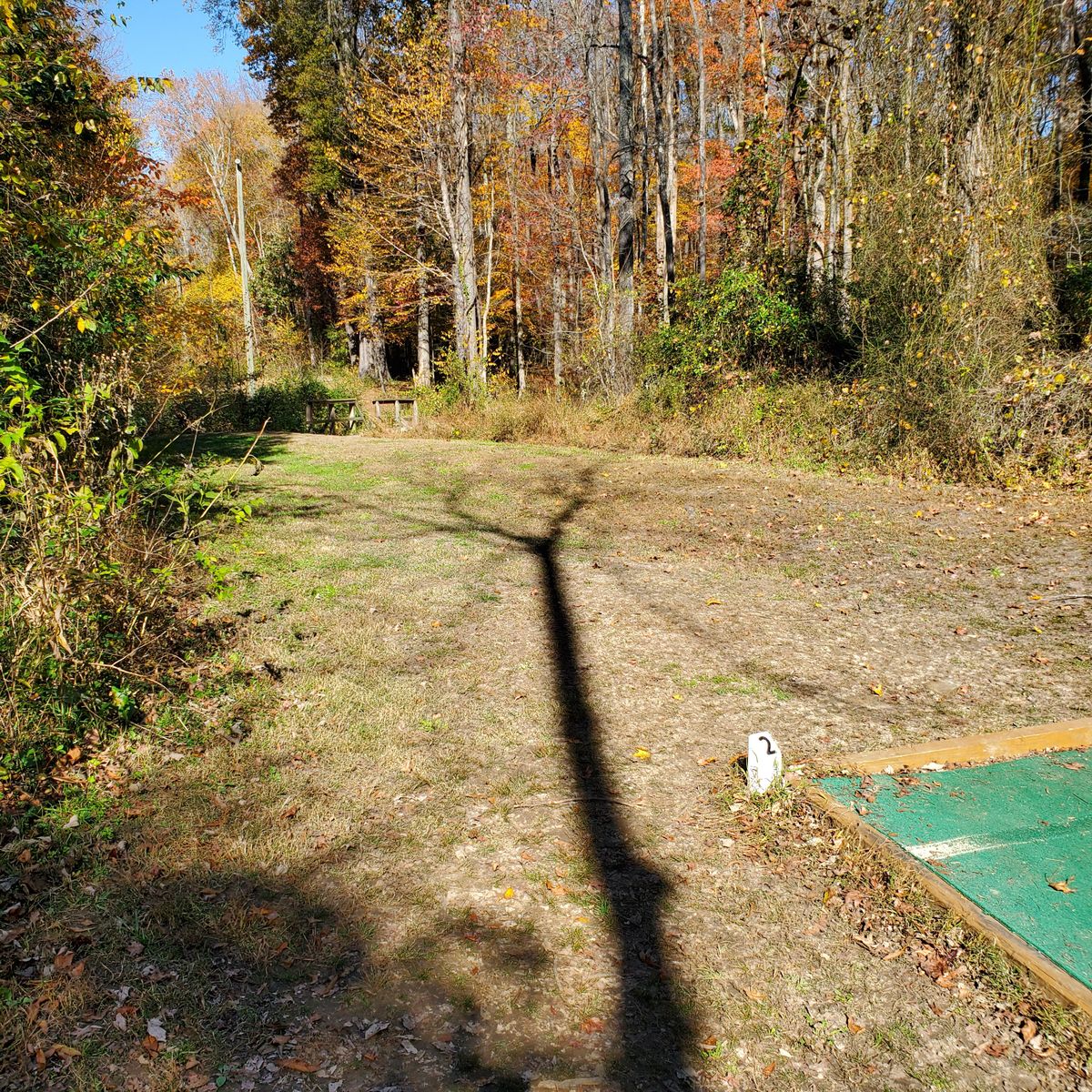 Looking out to 2nd basket. Nov 9, 2020.
