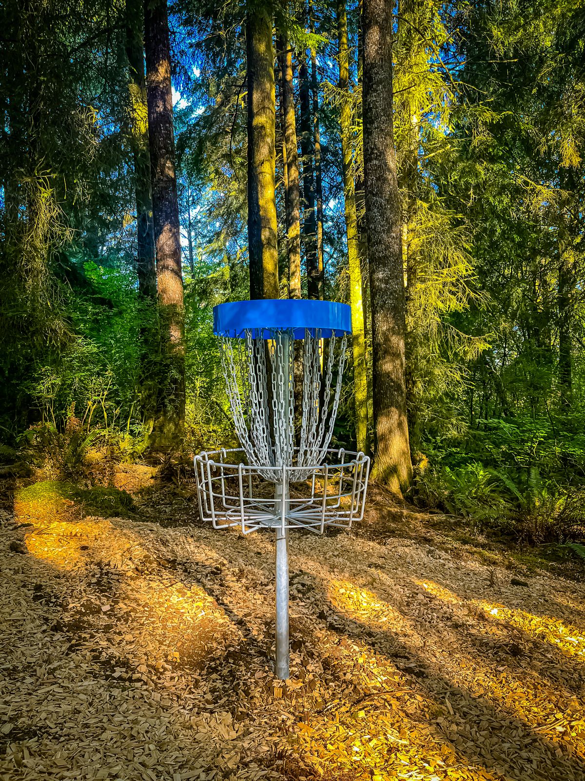 Hole 1