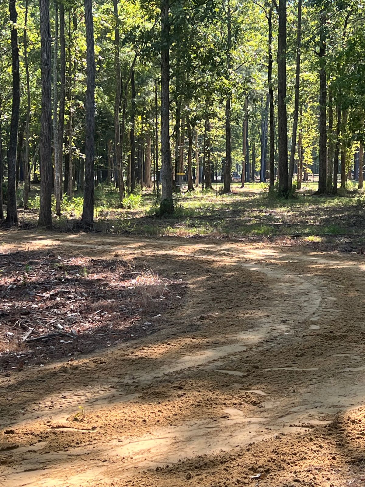 Hole 7 tee