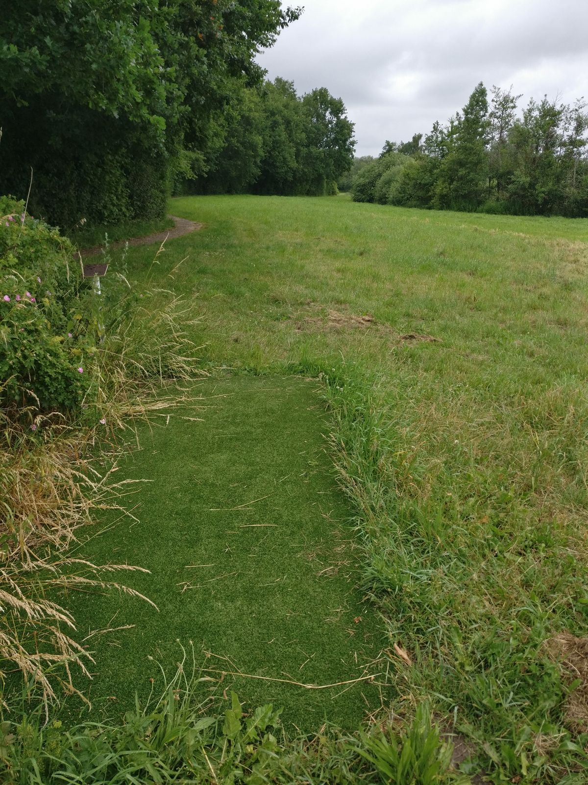 Hole 11