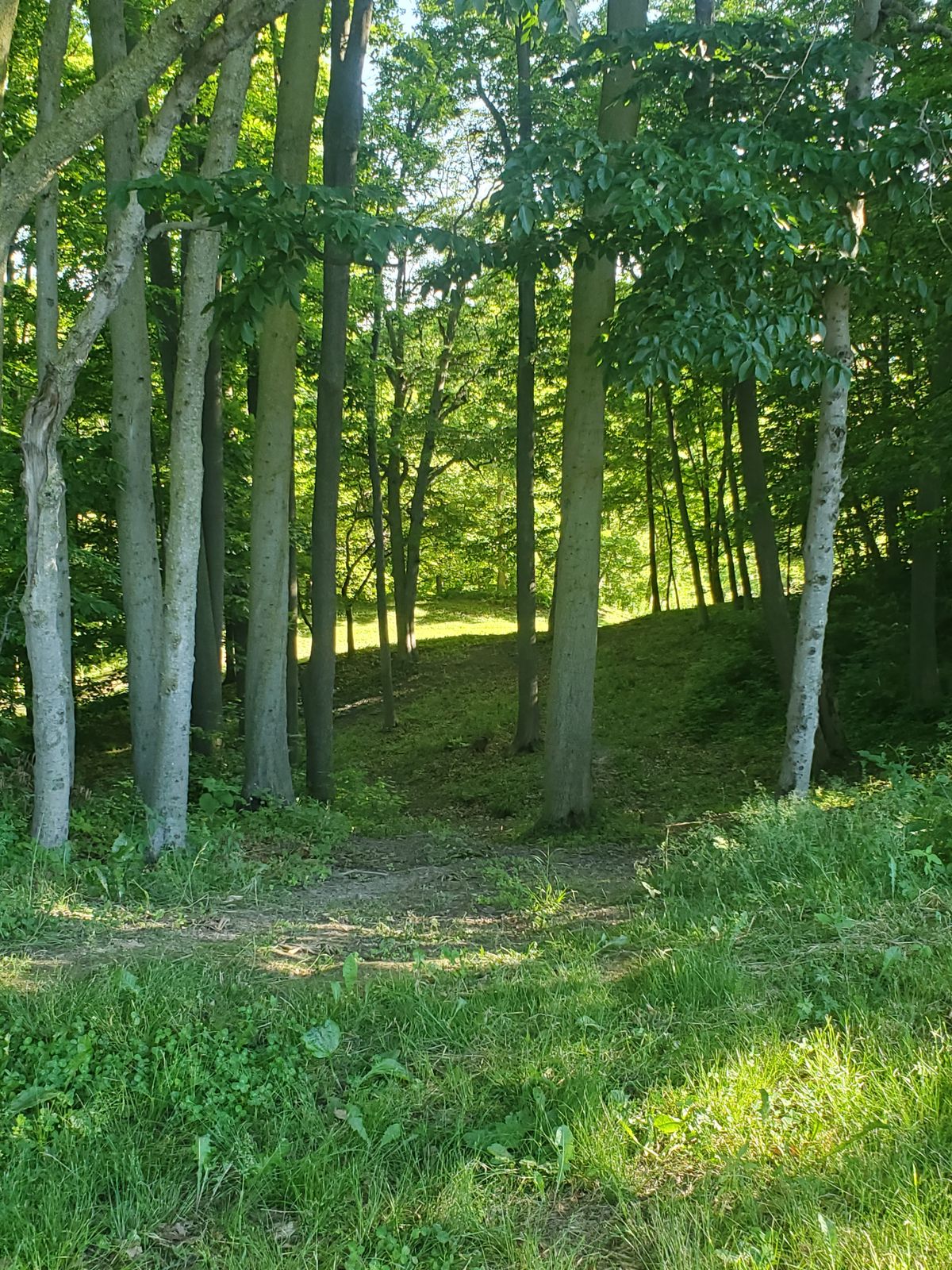 Hole 18A tee