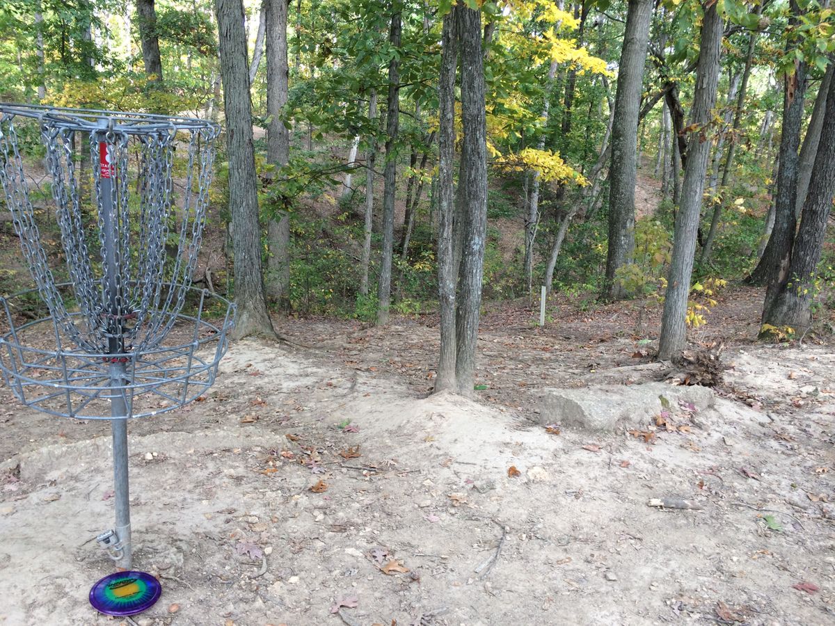 Hole 8