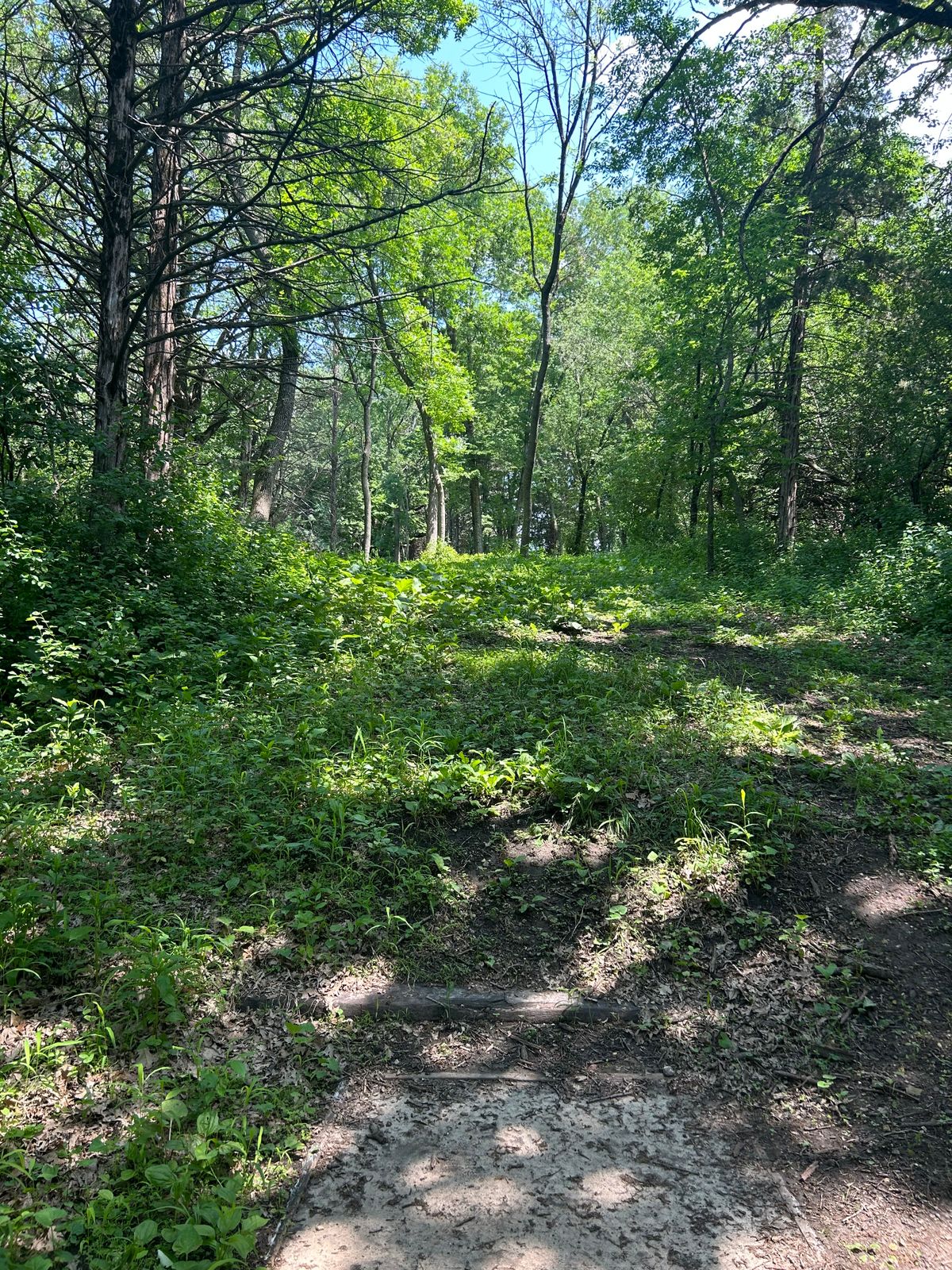 Hole 17