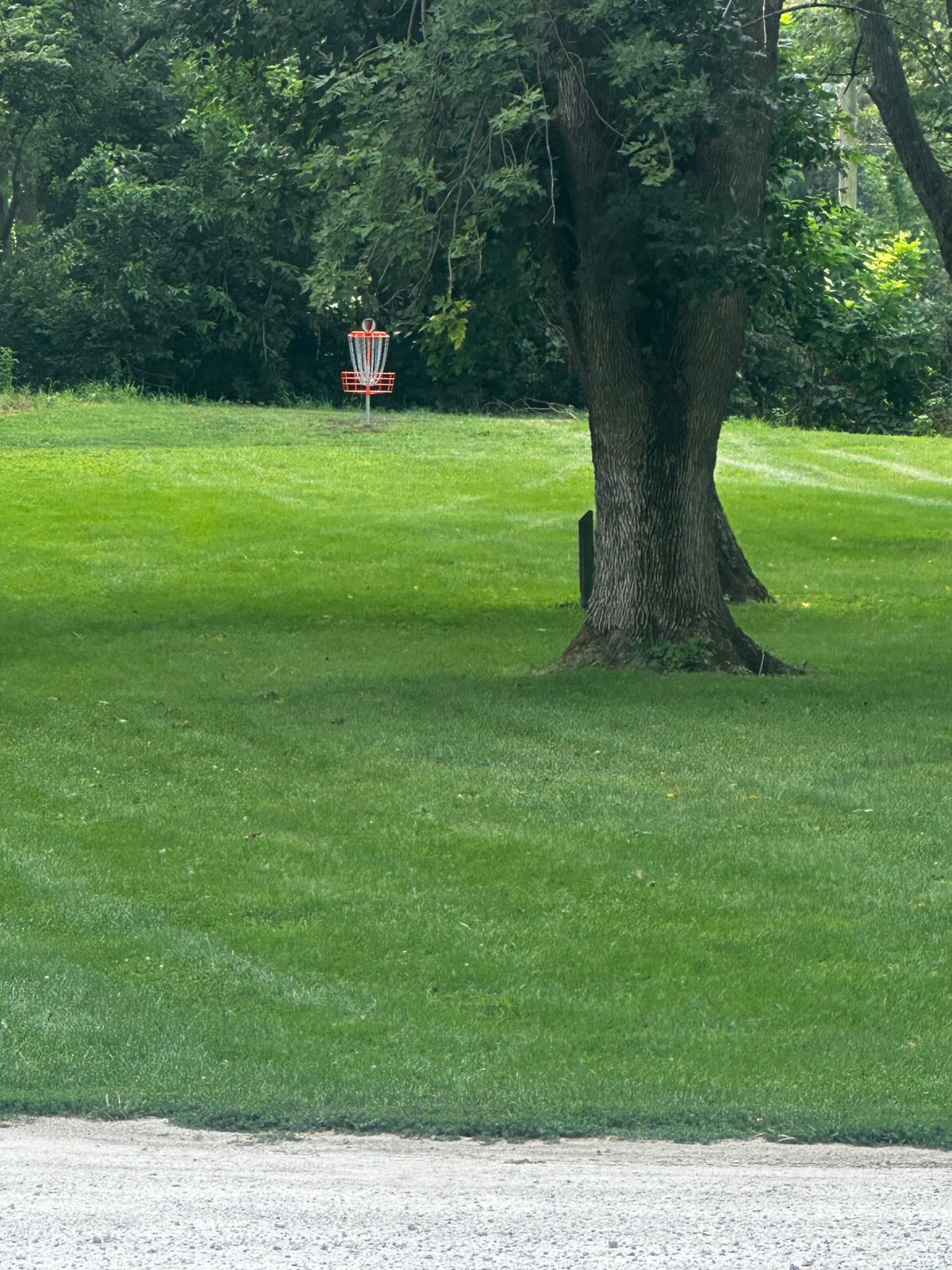 Newest basket on hole one!!!