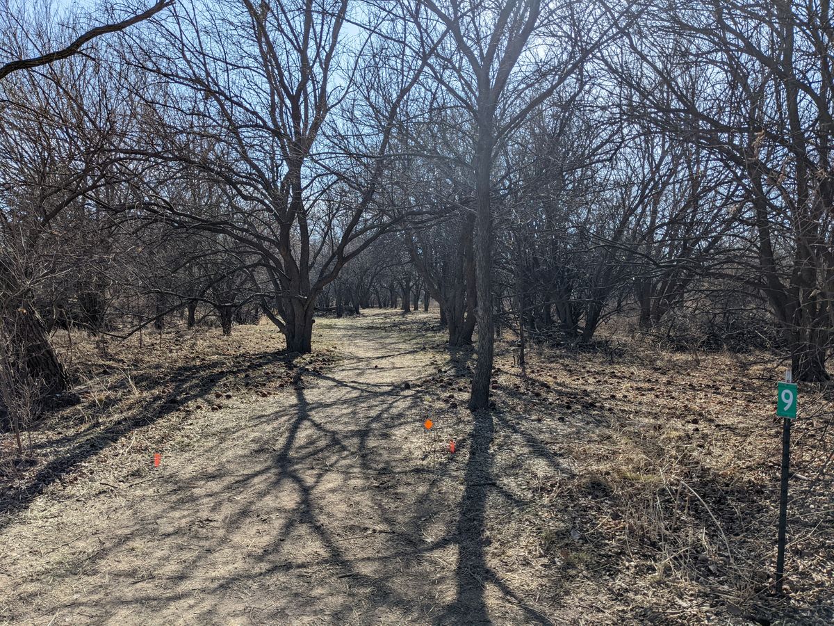 Hole #9