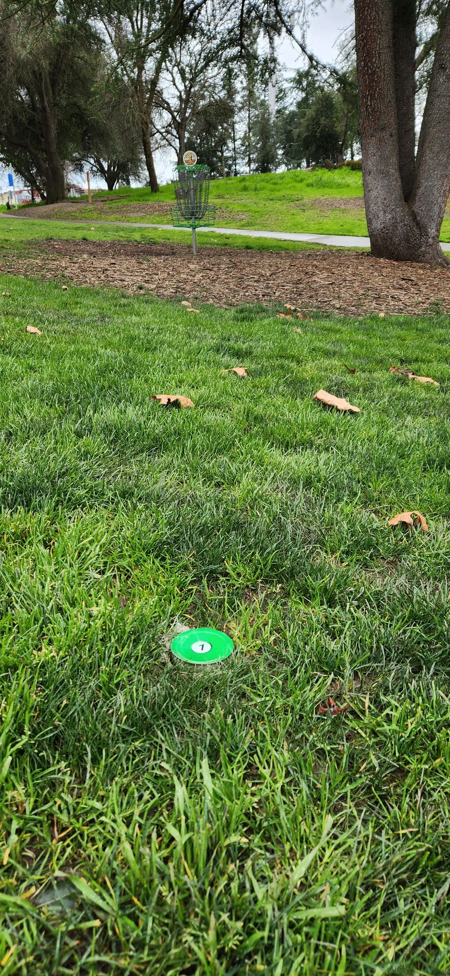 Circle one marker.