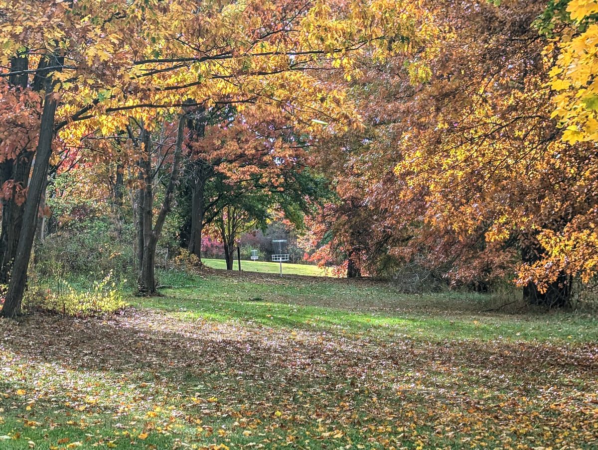 Fall fairway on hole #4