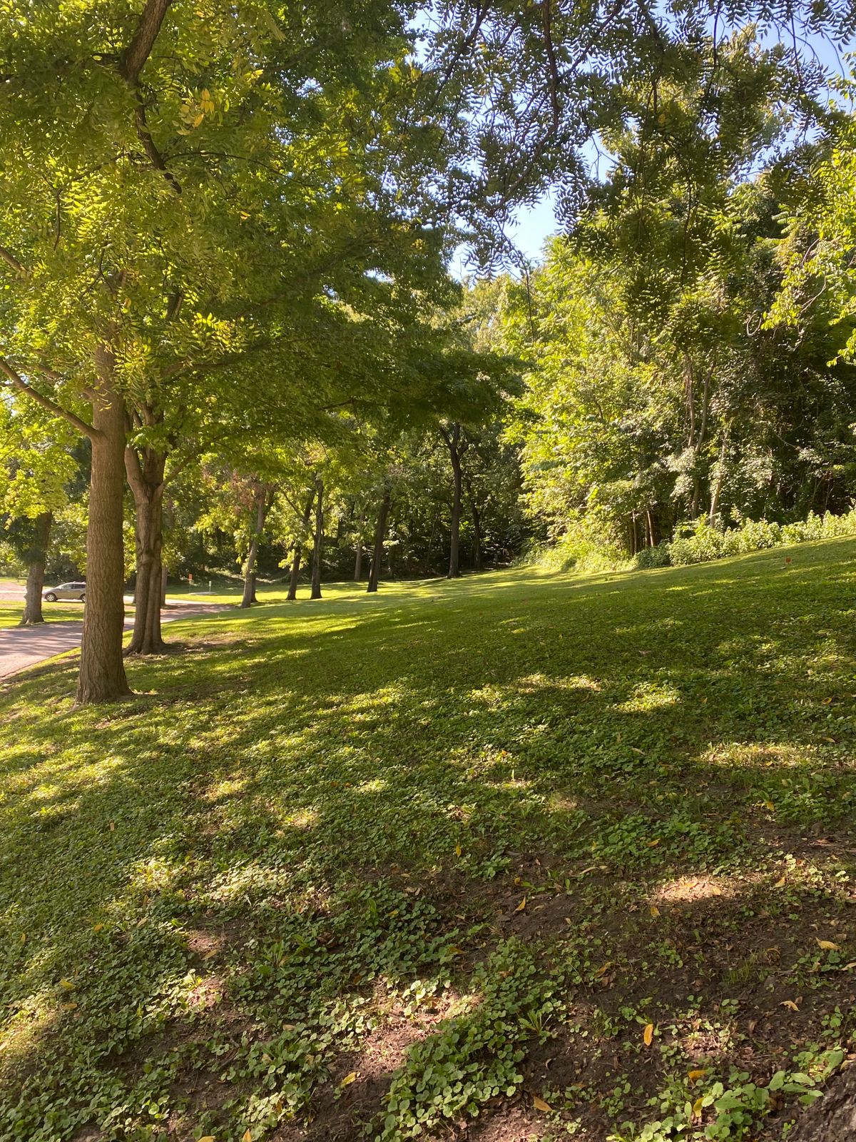 9 fairway