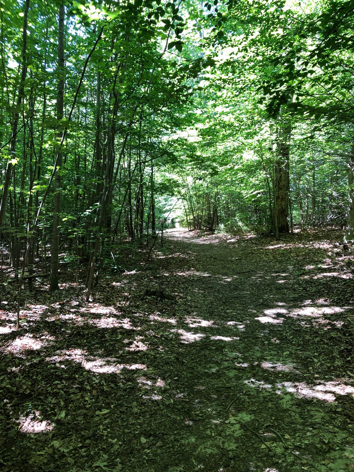 3rd fairway