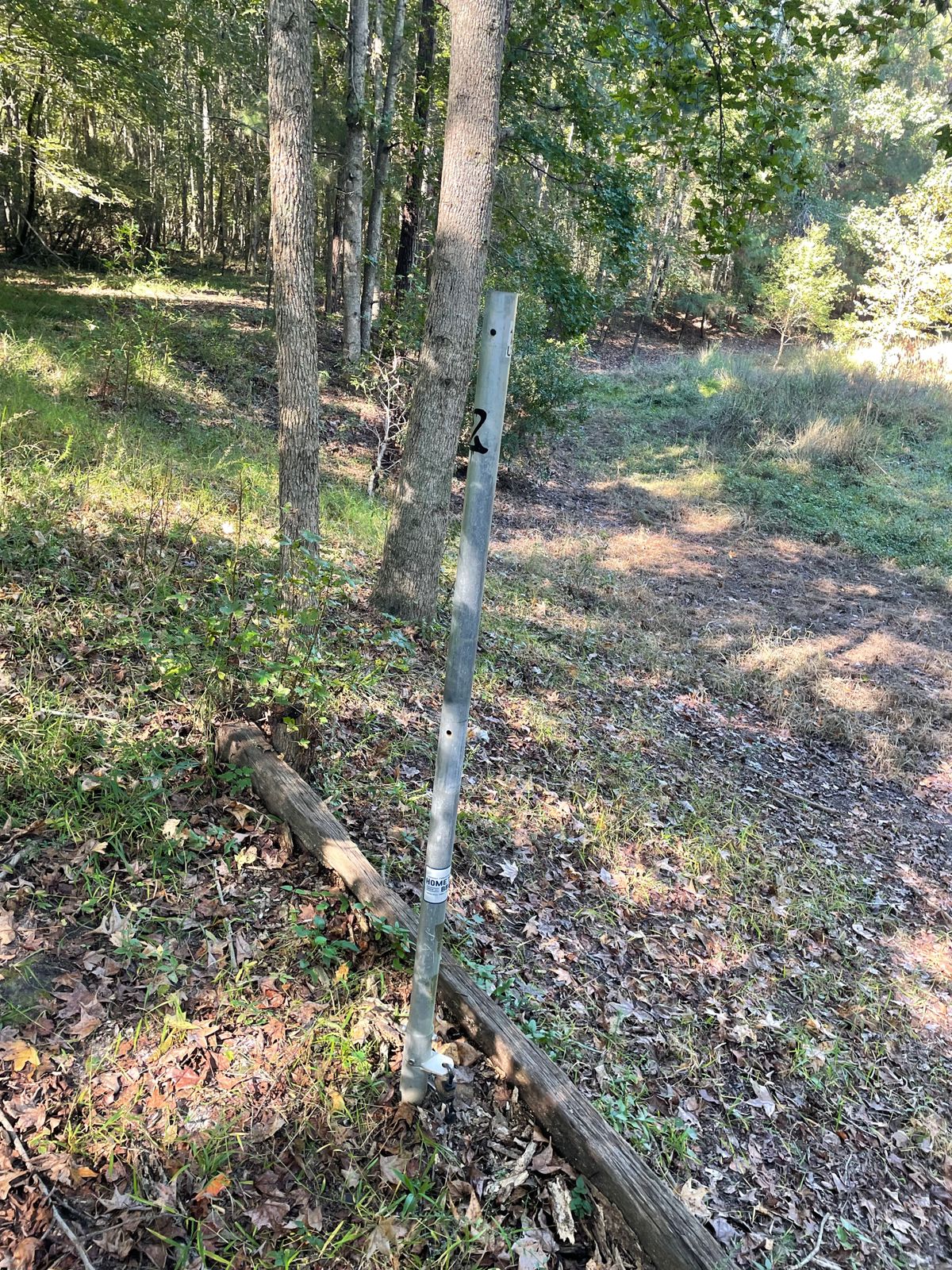 No baskets, just poles on all 18