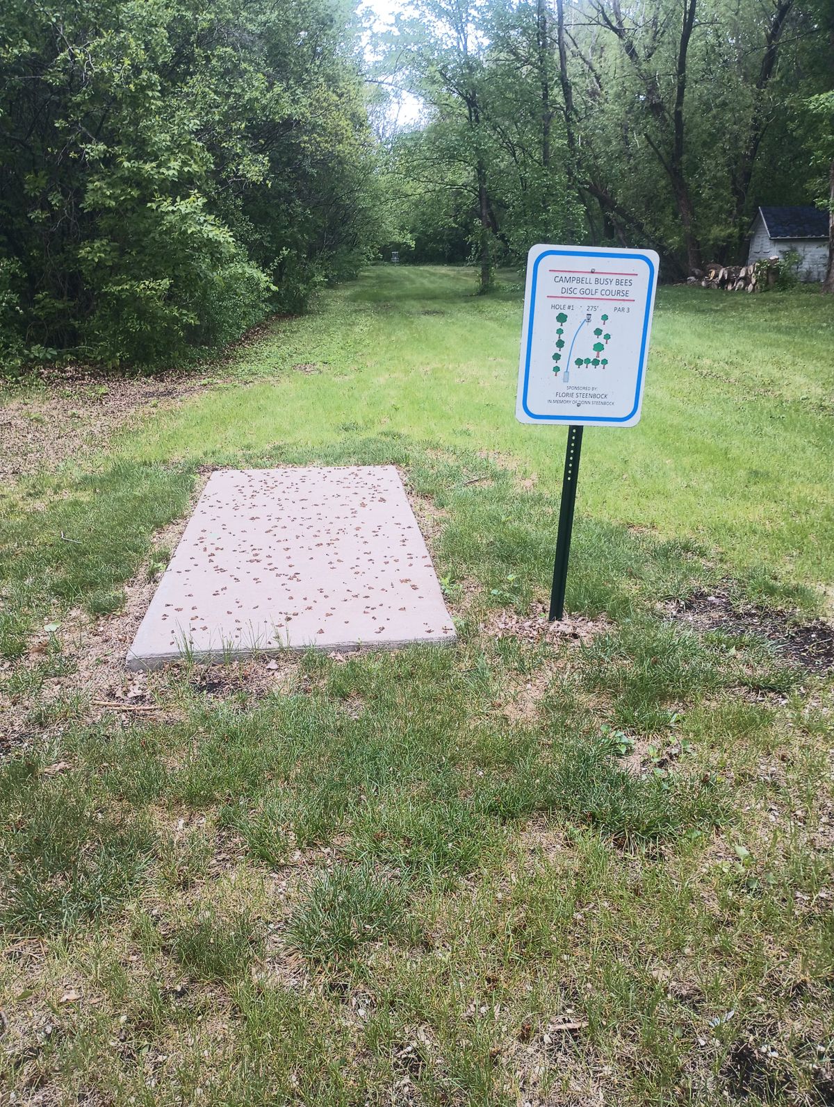 Hole one tee