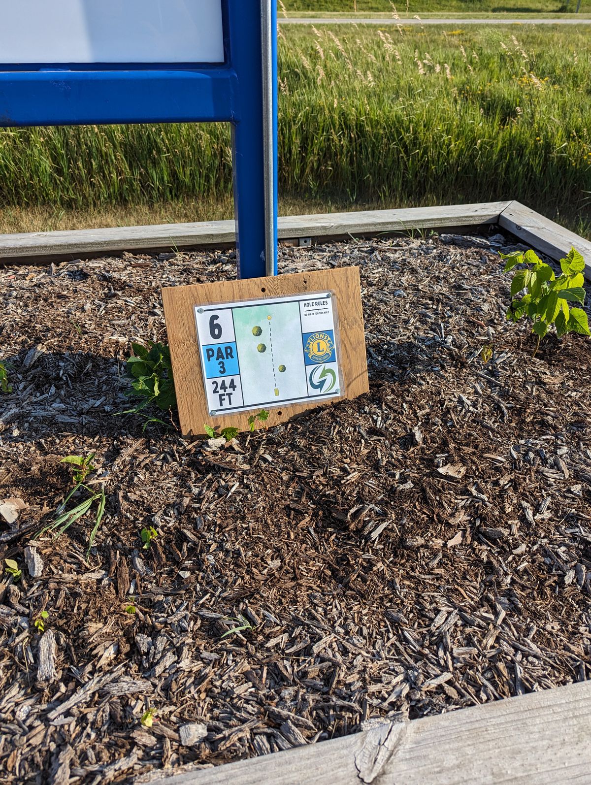 Hole 6 sign