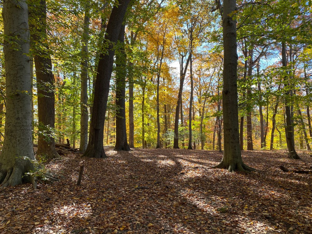 Hole 6 East