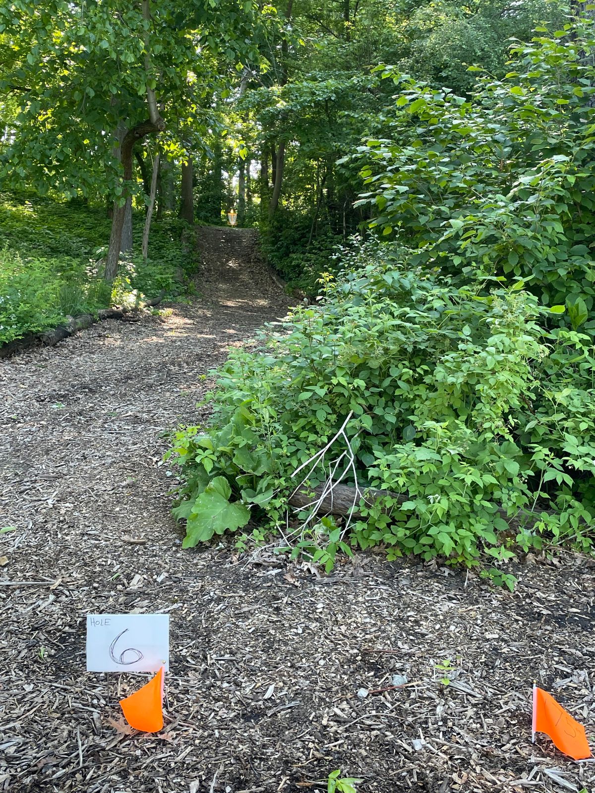 6 temp hole but a fav. Tight gap through an arch, ace run what?