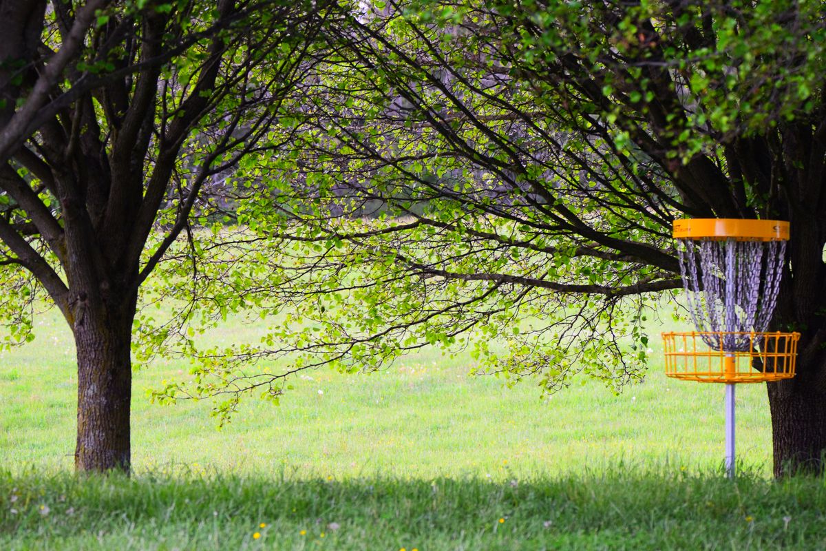 Basket for Hole #3