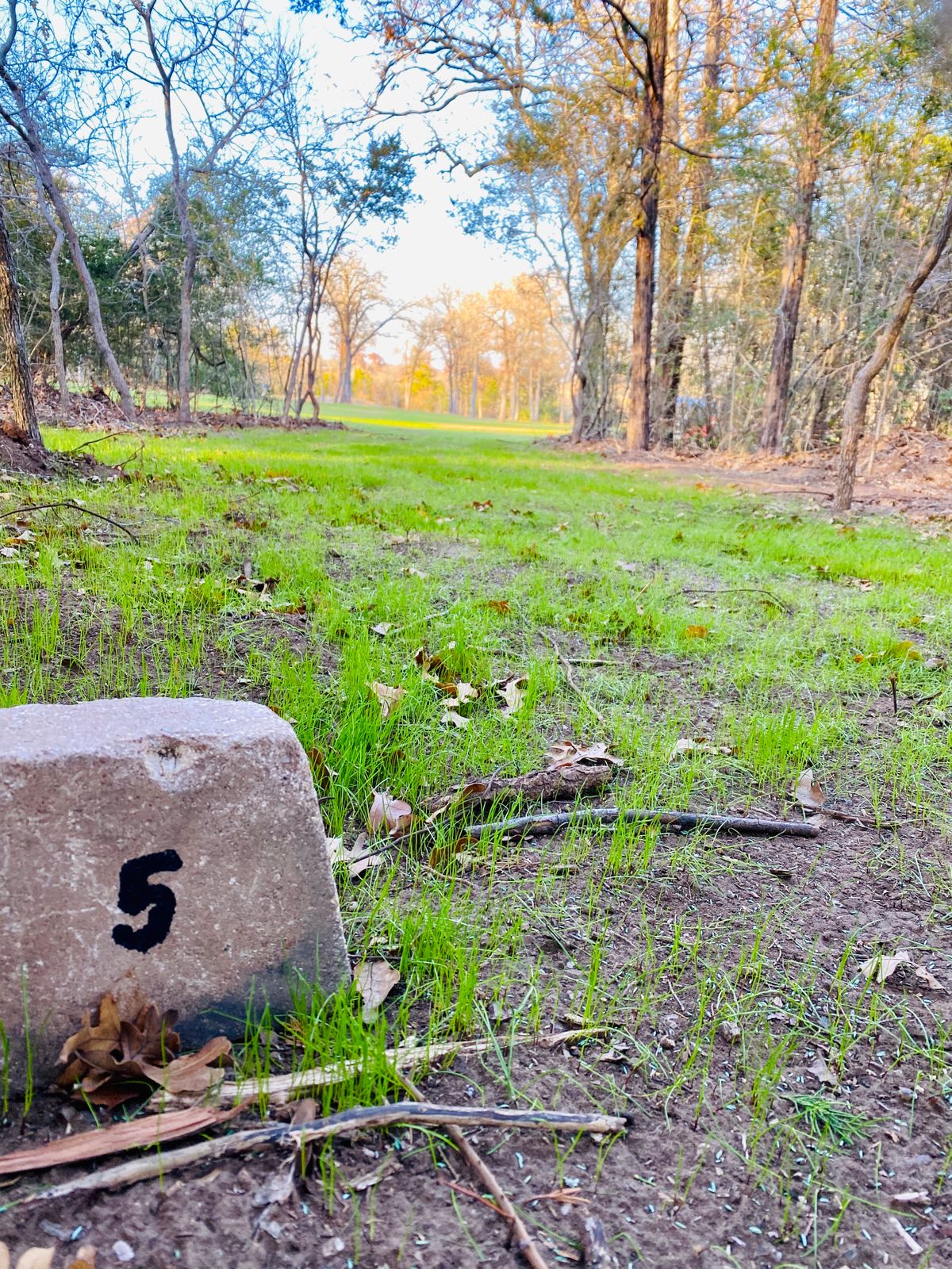 Hole 5 is a fun tight off the box to a open dogleg right fairway