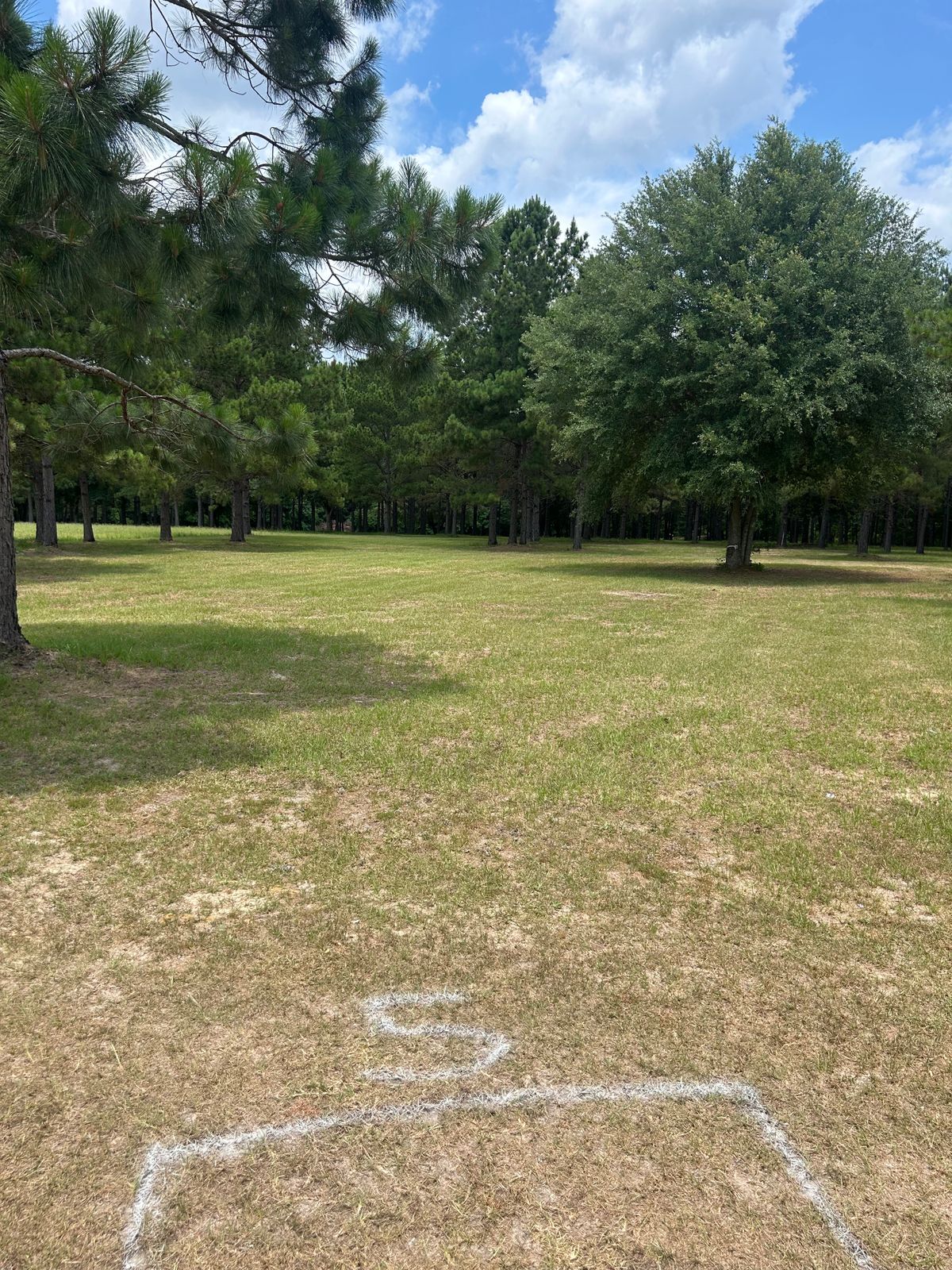 Hole 5 tee pad