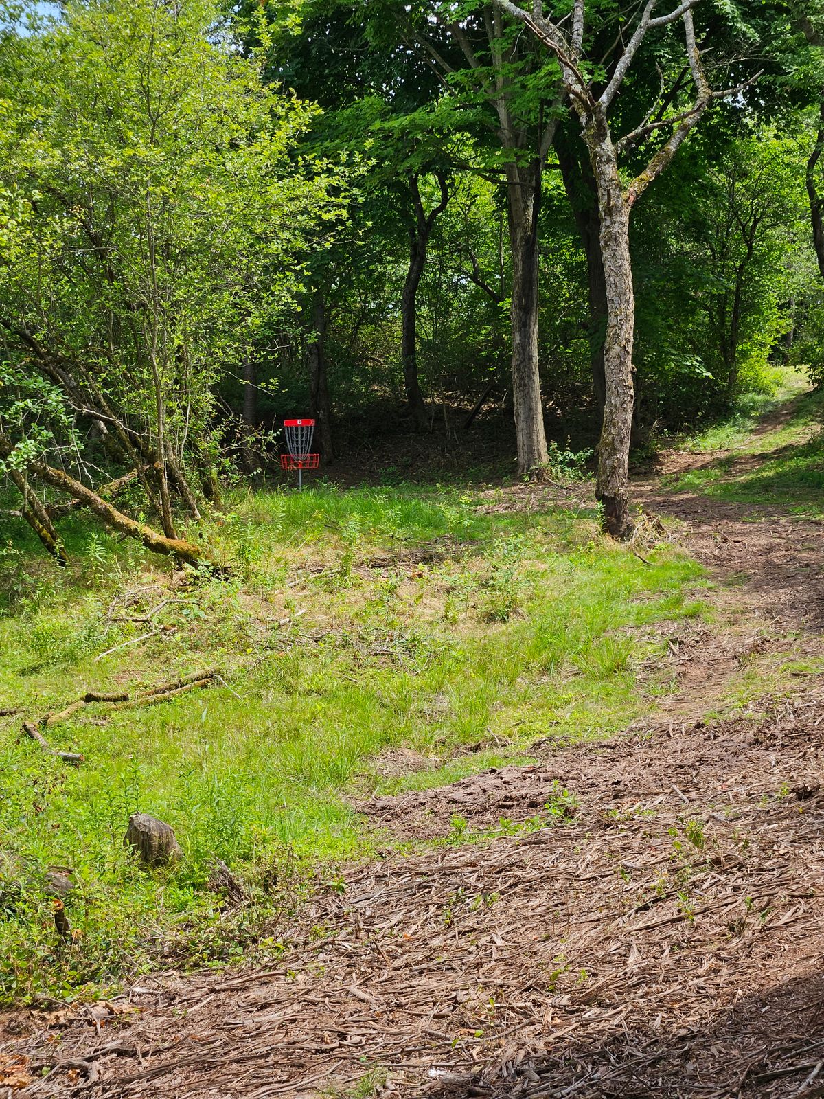 Hole 6 approach