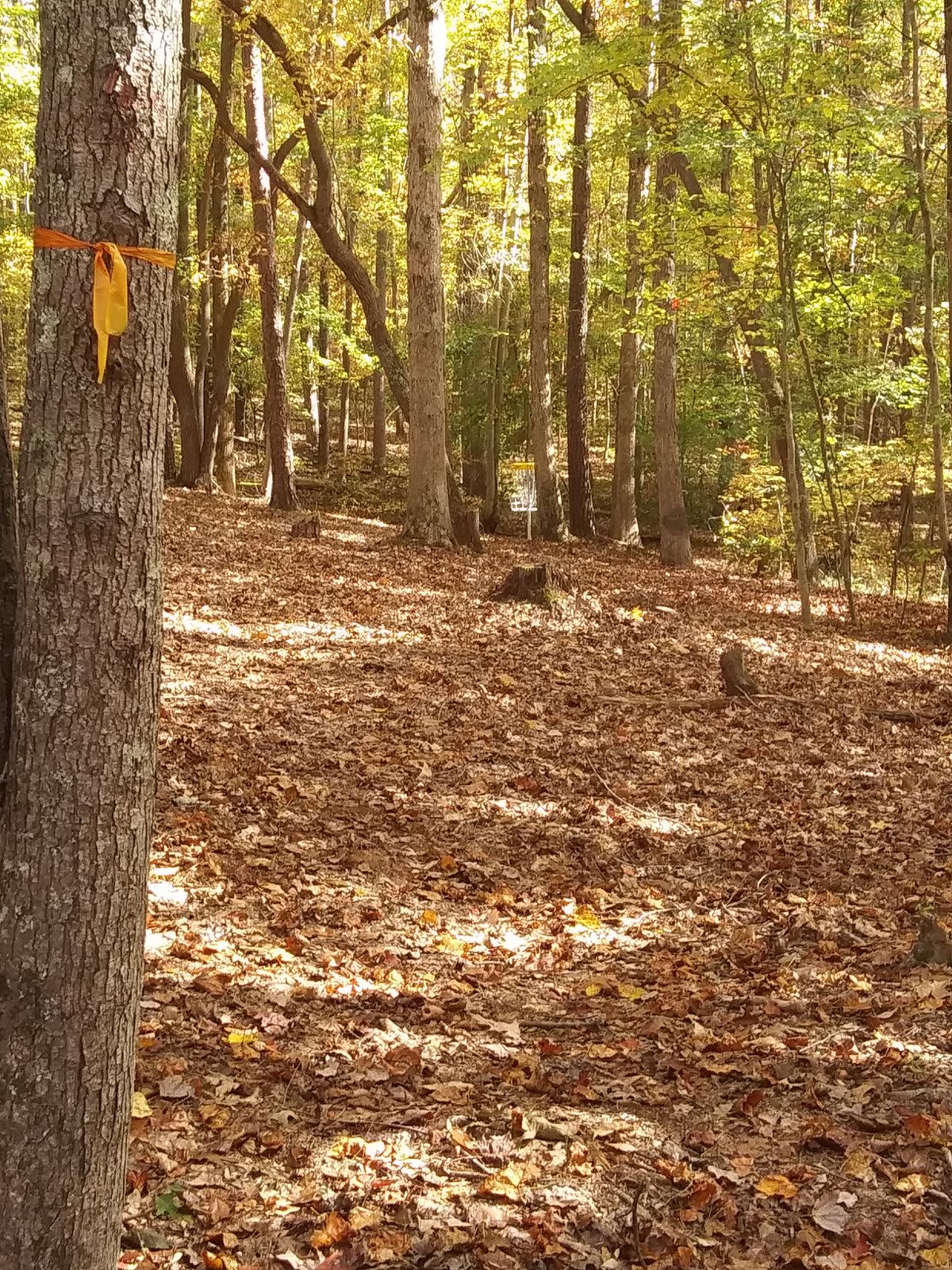Hole 17 basket