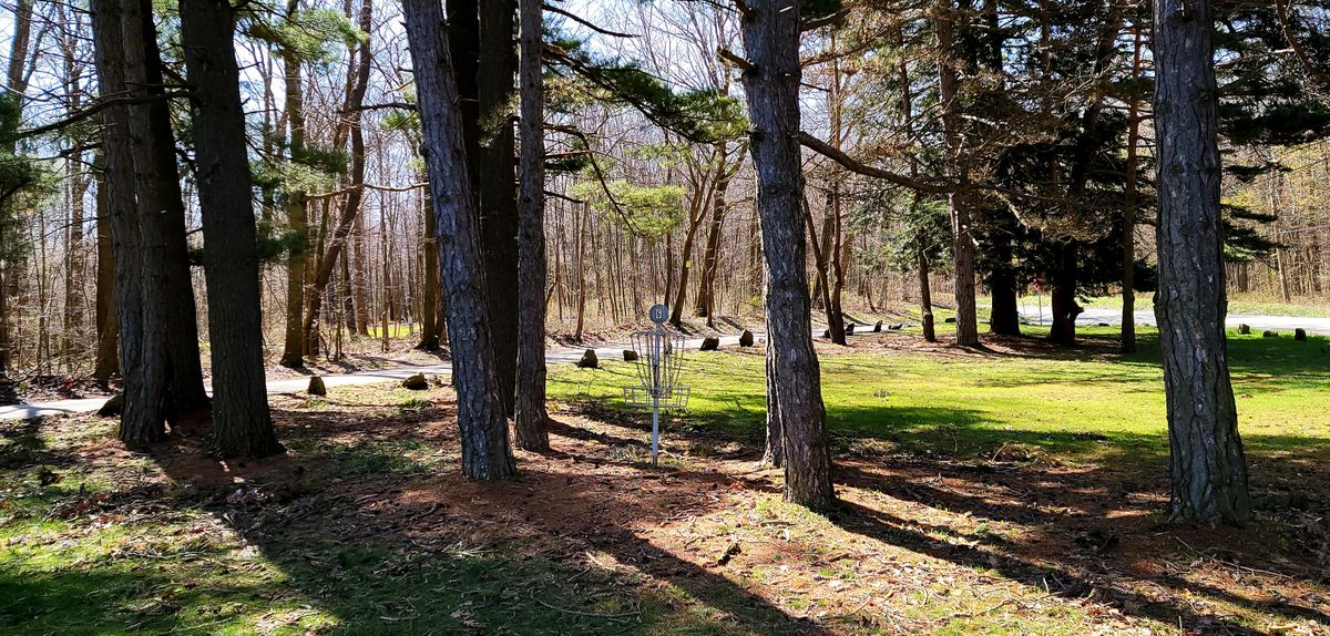 Find the right angle for birdie putt
