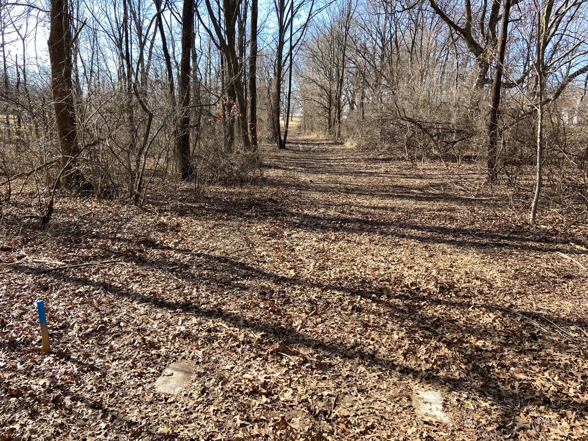 Hole 12 blue tee