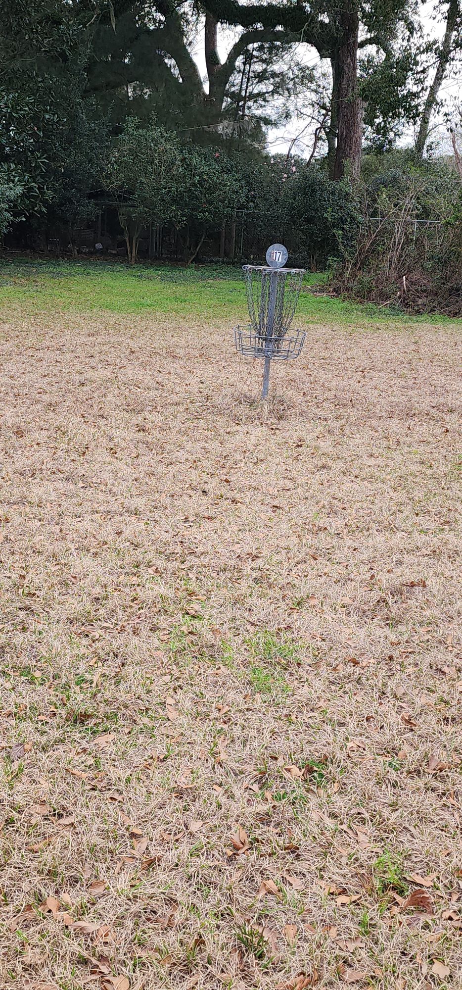 Hole 17