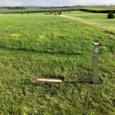 Hole 4 marker and tee pad