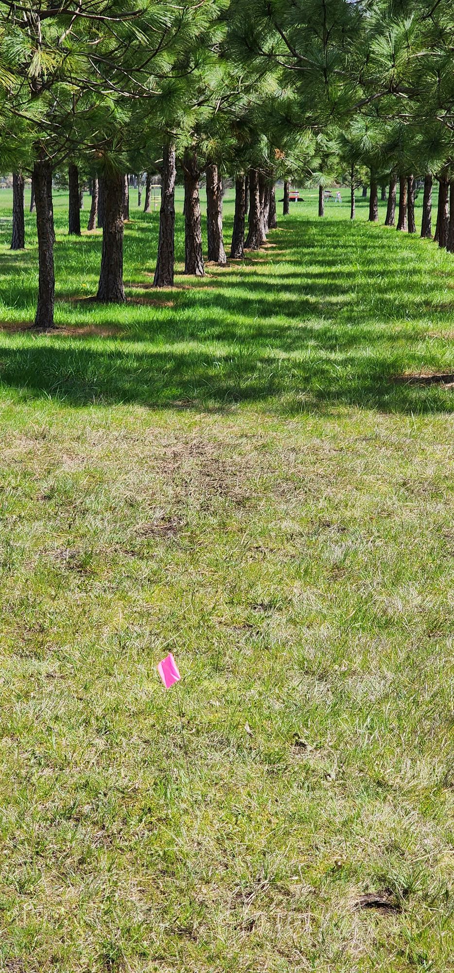 Hole 3s Tunnel