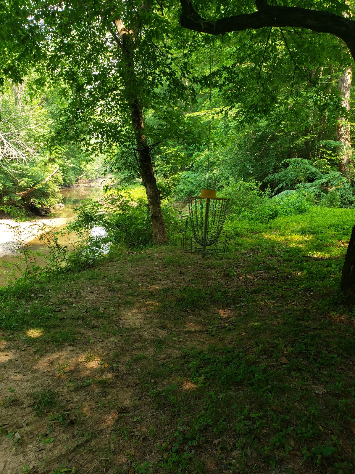 Hole 5 basket