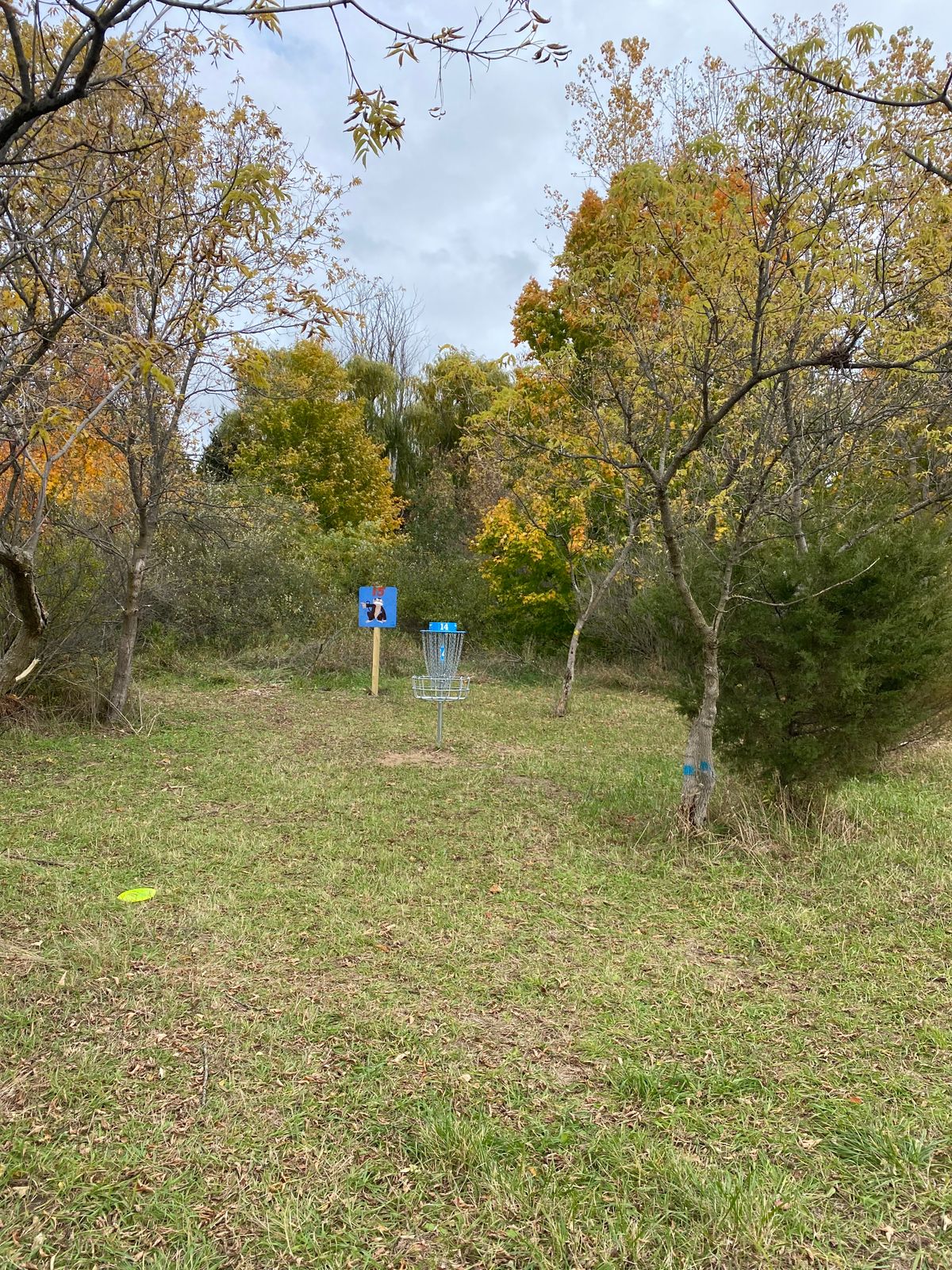 Hole 14 basket