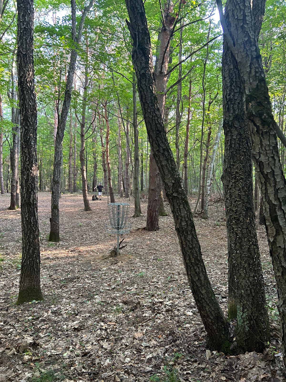 Hole 16s Basket