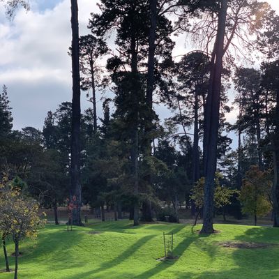 Course photo