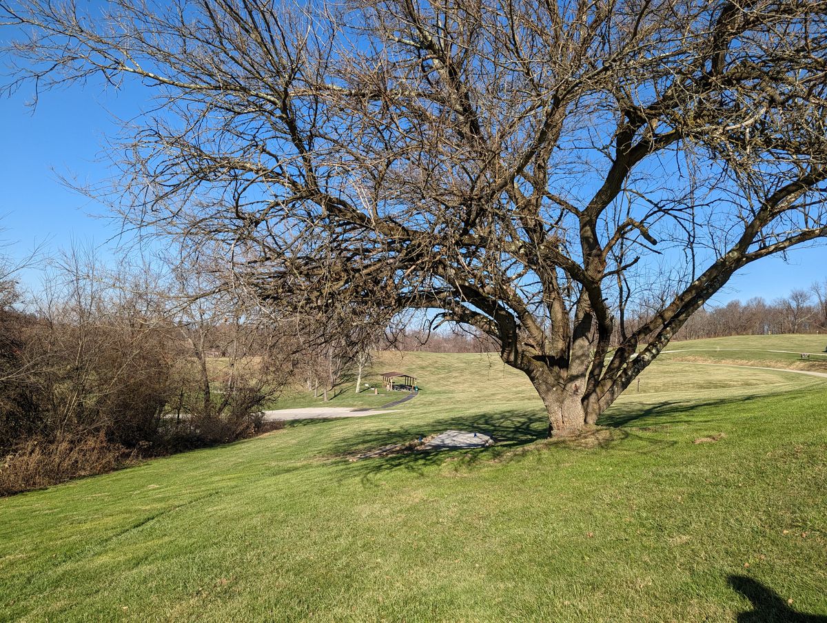 Looking back at hole 4 Blue teepad (long)
