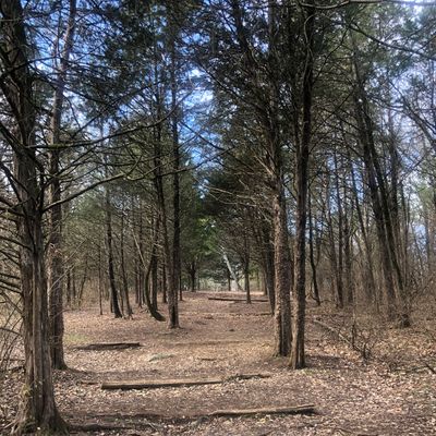 Hole 5