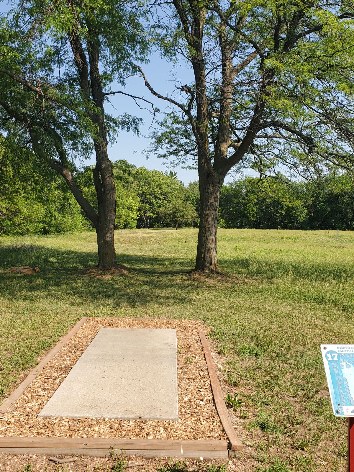Hole 17