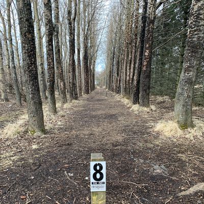 Tee pad hole 8 - Tunnel shot 💀