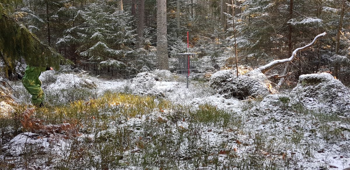Winter