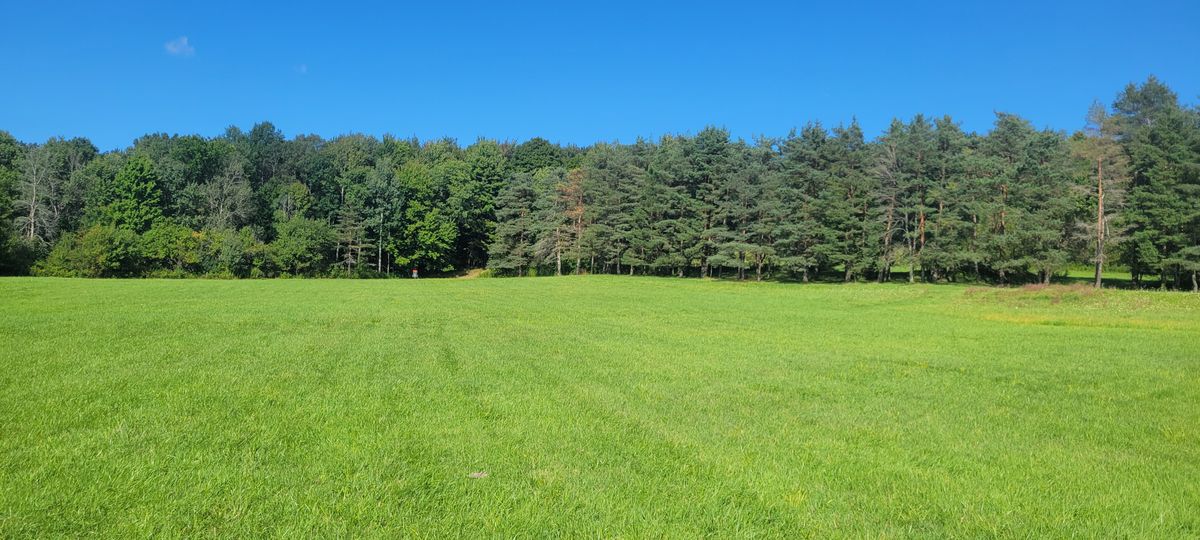 1 fairway