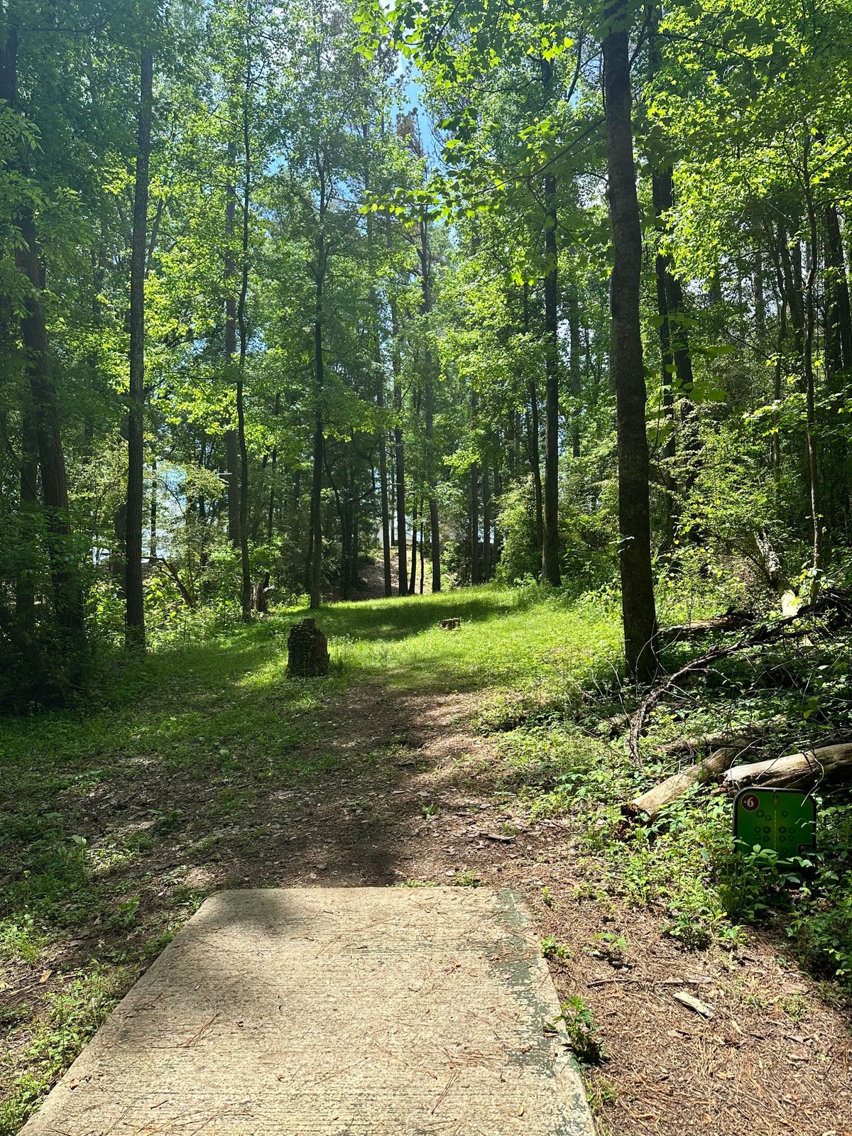 Hole 6