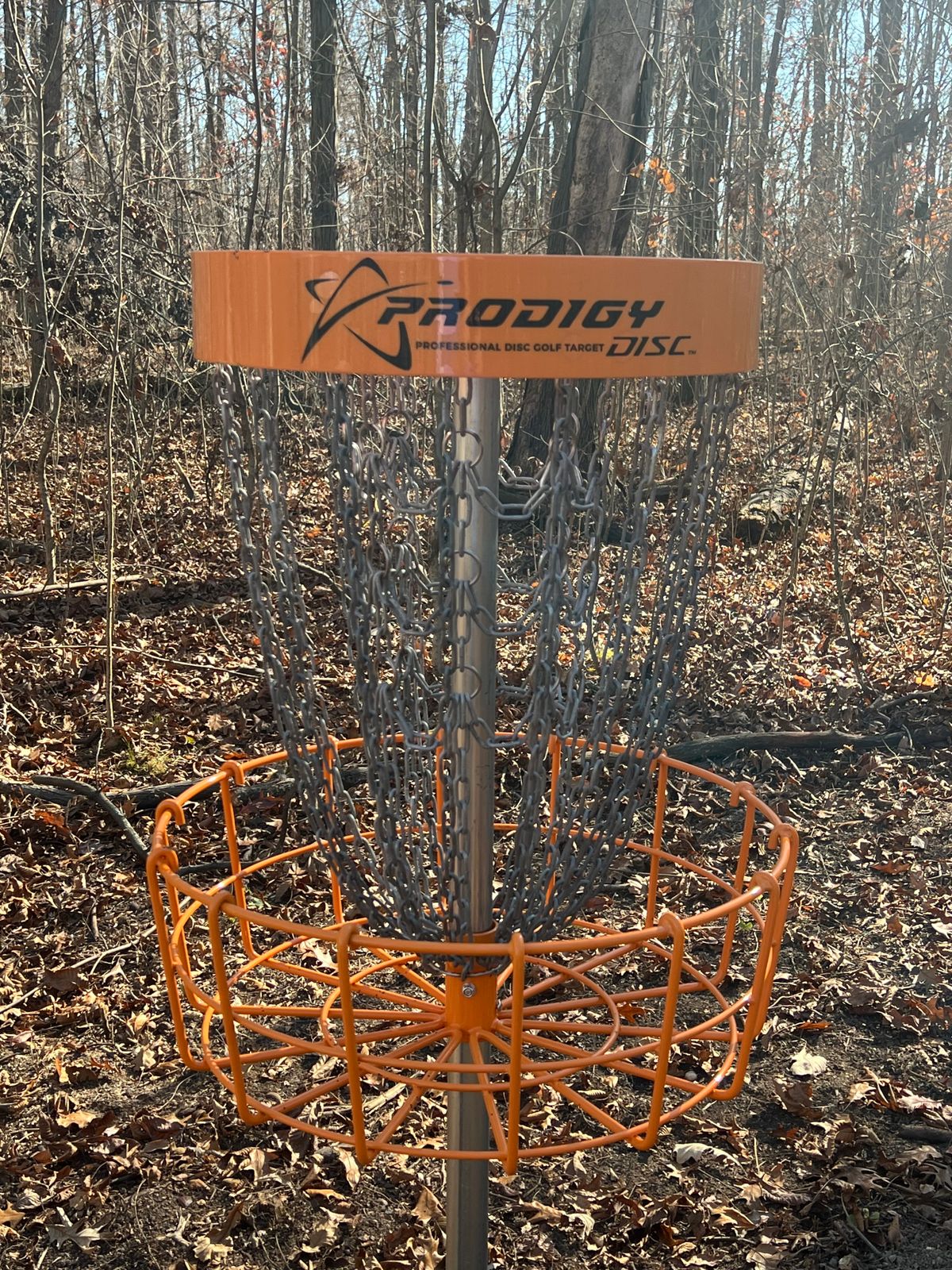 Prodigy T2 baskets