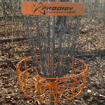 Prodigy T2 baskets