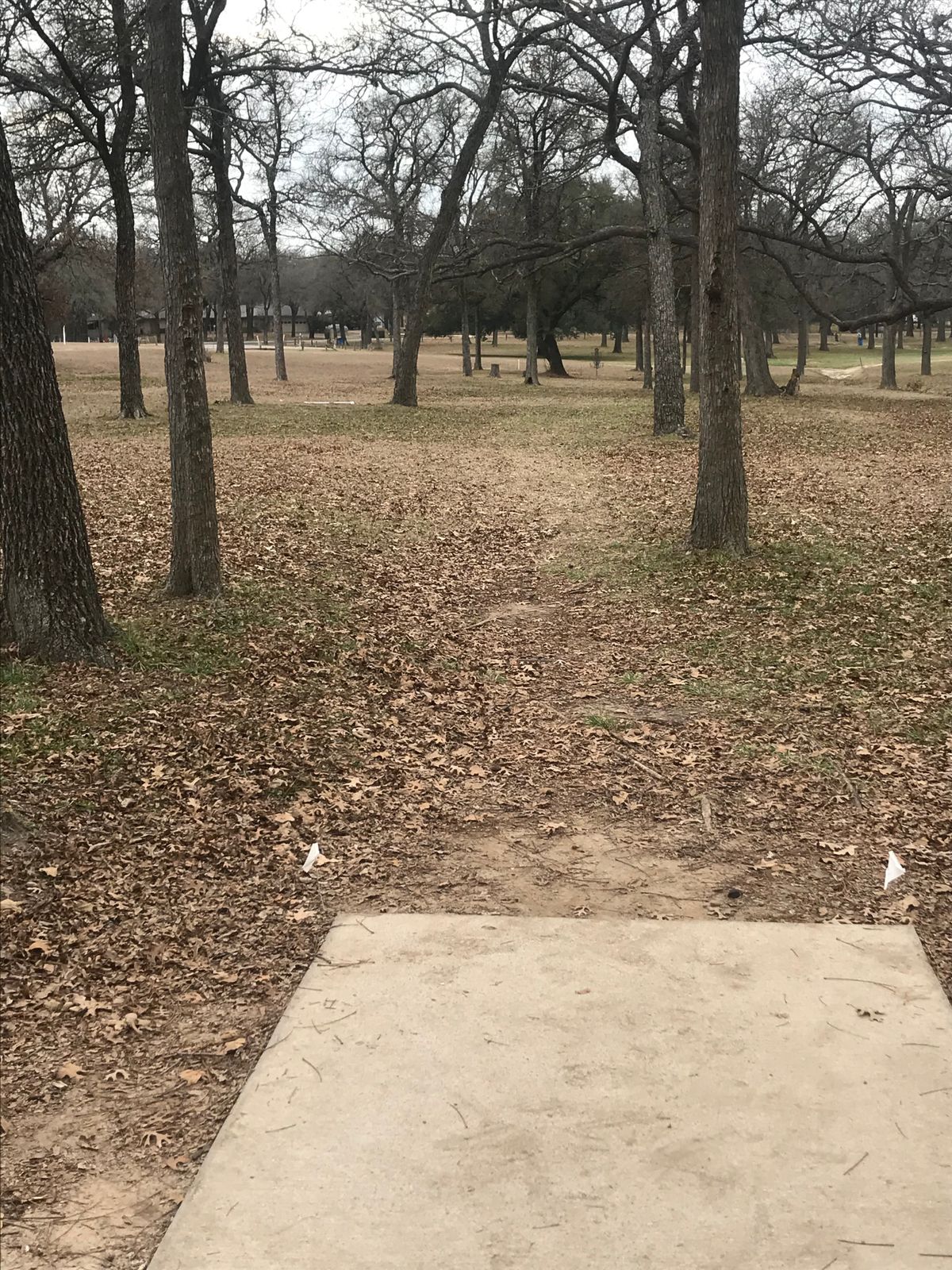 Hole 4 (short)
