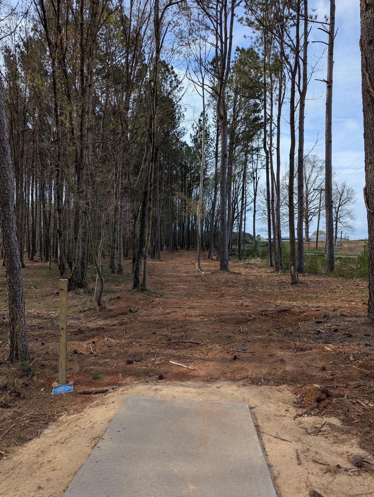 Hole 3