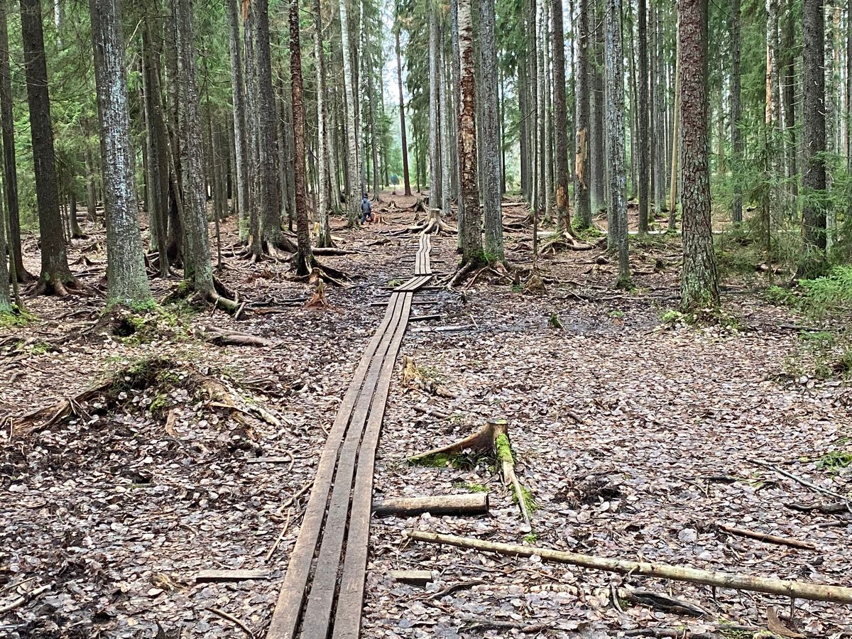 Mielenkiintoinen väylä 😀