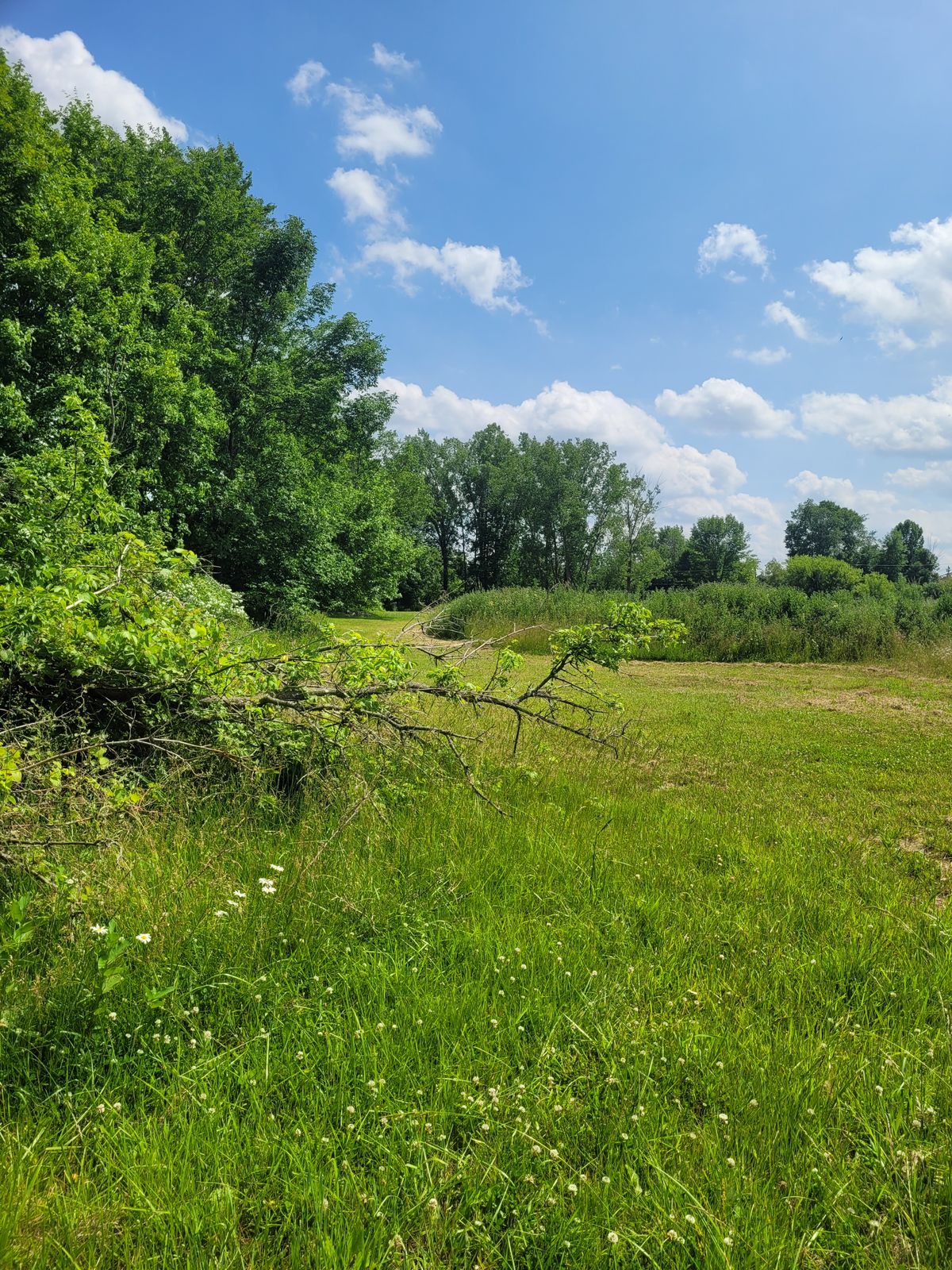 Hole 5